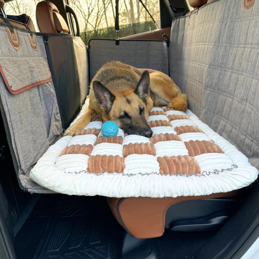 Il Letto per Cani Perfetto per l'Estensore Sedili Auto